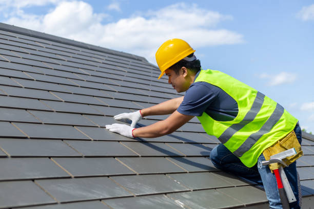 Roof Gutter Cleaning in Salina, OK